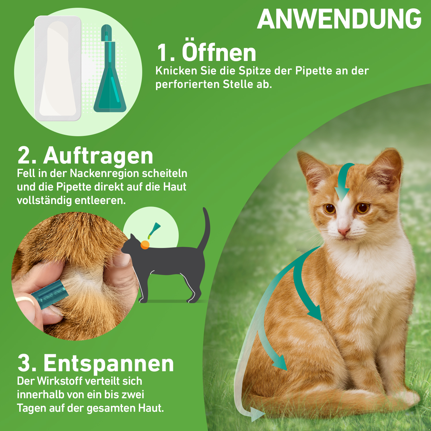 FRONTLINE COMBO® der Kombischutz für Tier und Heim gegen Zecken, Flöhe und Haarlinge bei Katzen und Frettchen FRONTLINE COMBO® der Kombischutz für Tier und Heim gegen Zecken, Flöhe und Haarlinge bei Katzen und Frettchen