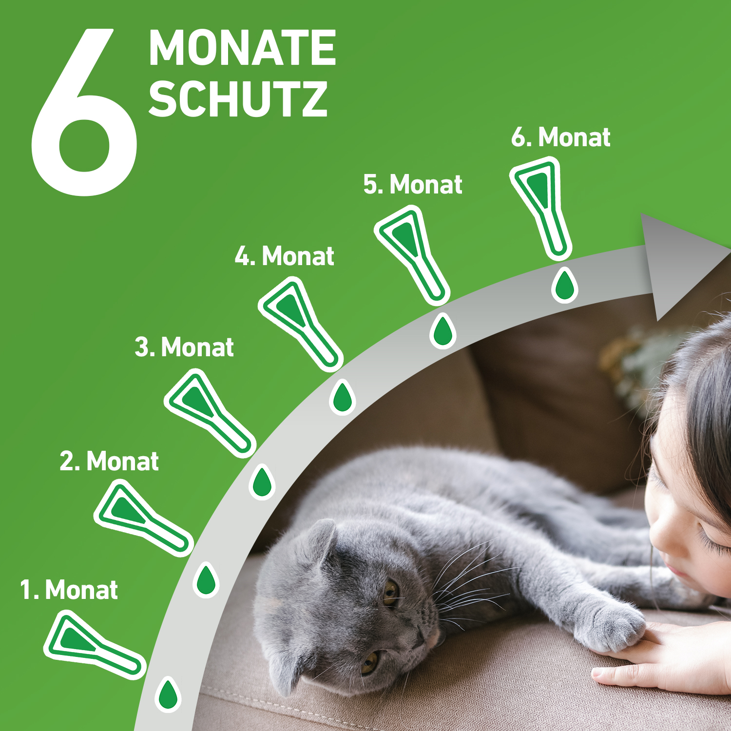 FRONTLINE COMBO® der Kombischutz für Tier und Heim gegen Zecken, Flöhe und Haarlinge bei Katzen und Frettchen FRONTLINE COMBO® der Kombischutz für Tier und Heim gegen Zecken, Flöhe und Haarlinge bei Katzen und Frettchen