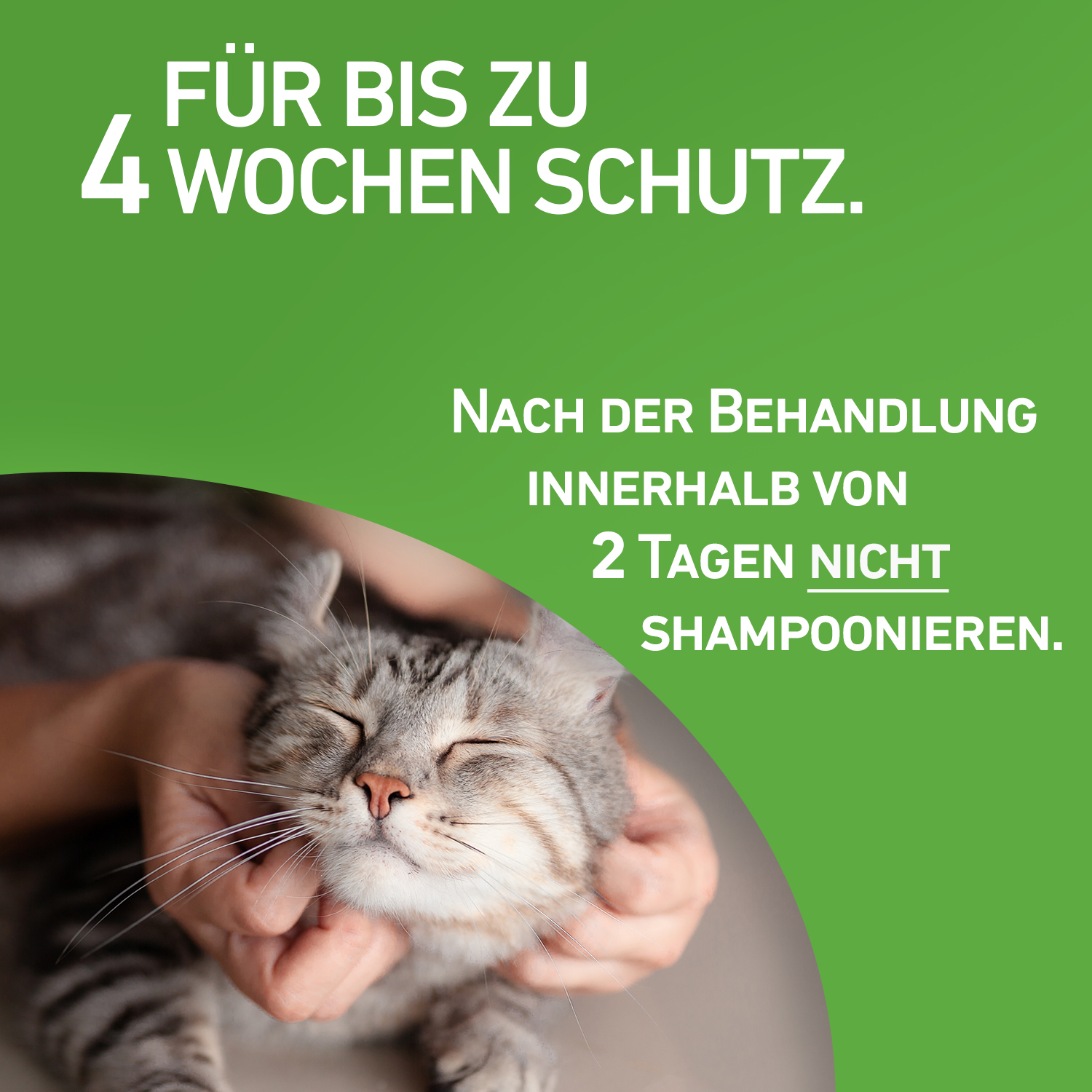 FRONTLINE COMBO® der Kombischutz für Tier und Heim gegen Zecken, Flöhe und Haarlinge bei Katzen und Frettchen FRONTLINE COMBO® der Kombischutz für Tier und Heim gegen Zecken, Flöhe und Haarlinge bei Katzen und Frettchen