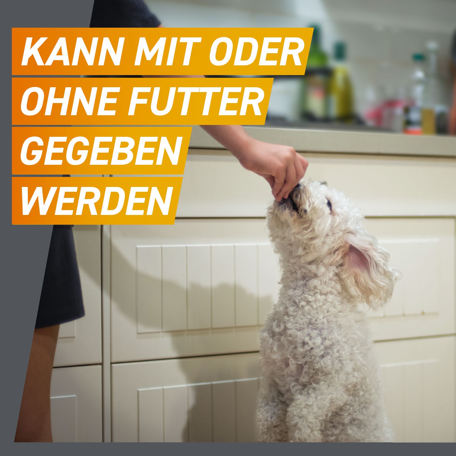 FRONTPRO 28 mg Kautabletten f.Hunde >4-10 kg FRONTPRO 28 mg Kautabletten f.Hunde >4-10 kg
