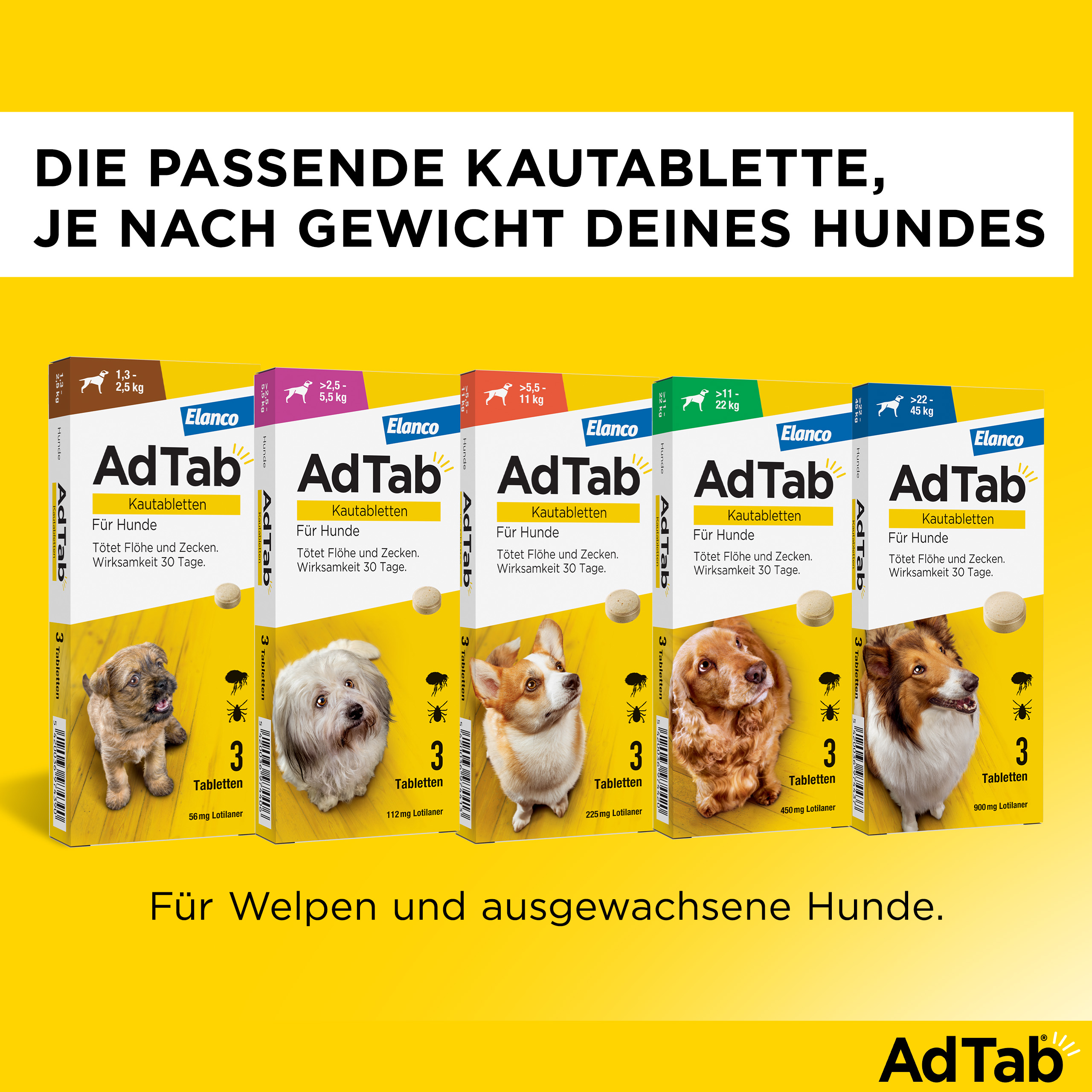 ADTAB 112 mg Kautabletten für Hunde >2,5—5,5 kg ADTAB 112 mg Kautabletten für Hunde >2,5—5,5 kg