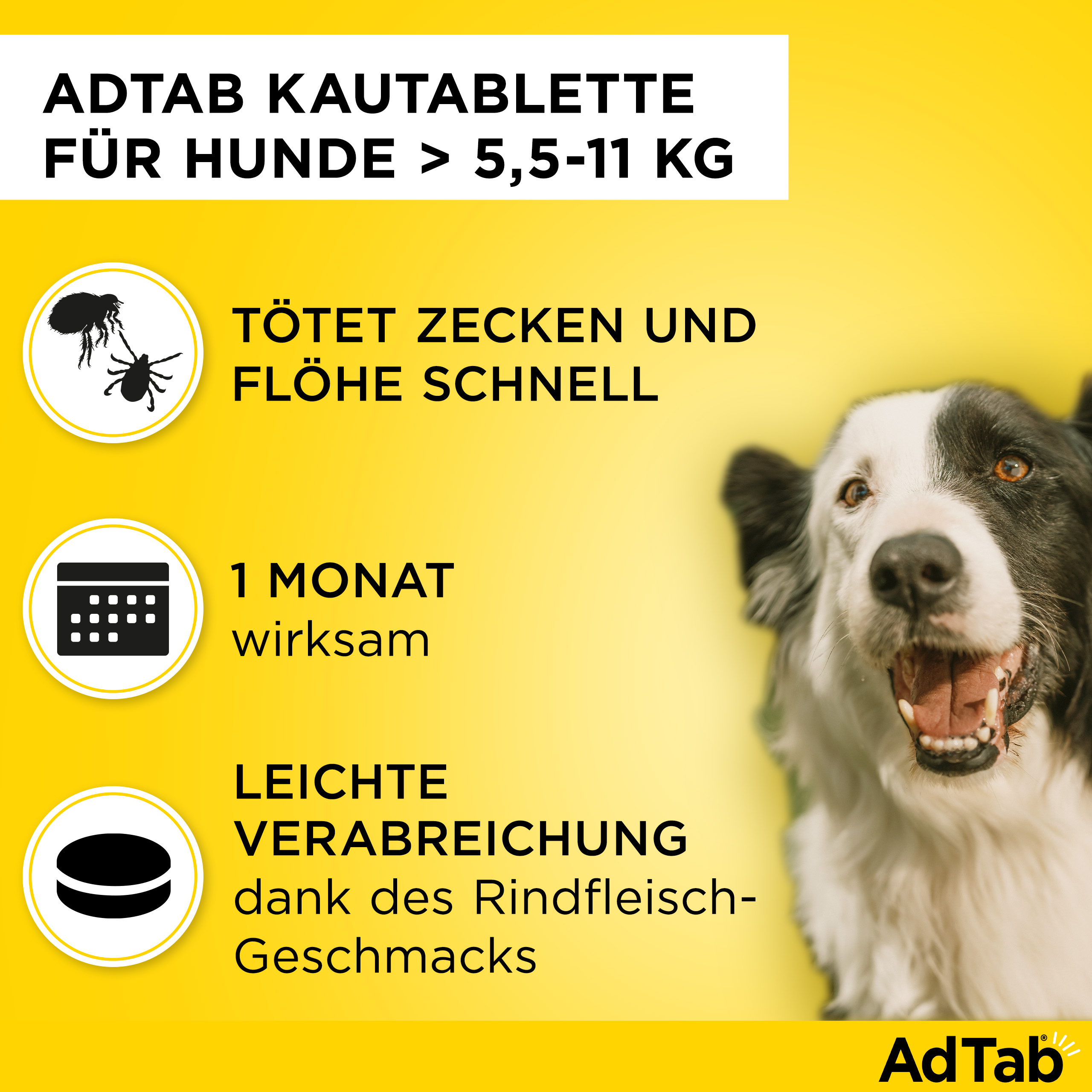 ADTAB 225 mg Kautabletten für Hunde >5,5-11 kg ADTAB 225 mg Kautabletten für Hunde >5,5-11 kg