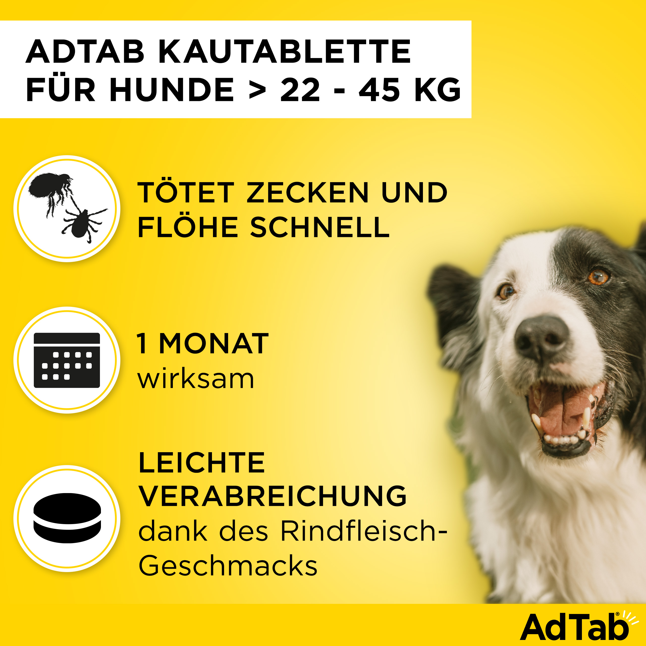 ADTAB 900 mg Kautabletten für Hunde >22-45 kg ADTAB 900 mg Kautabletten für Hunde >22-45 kg