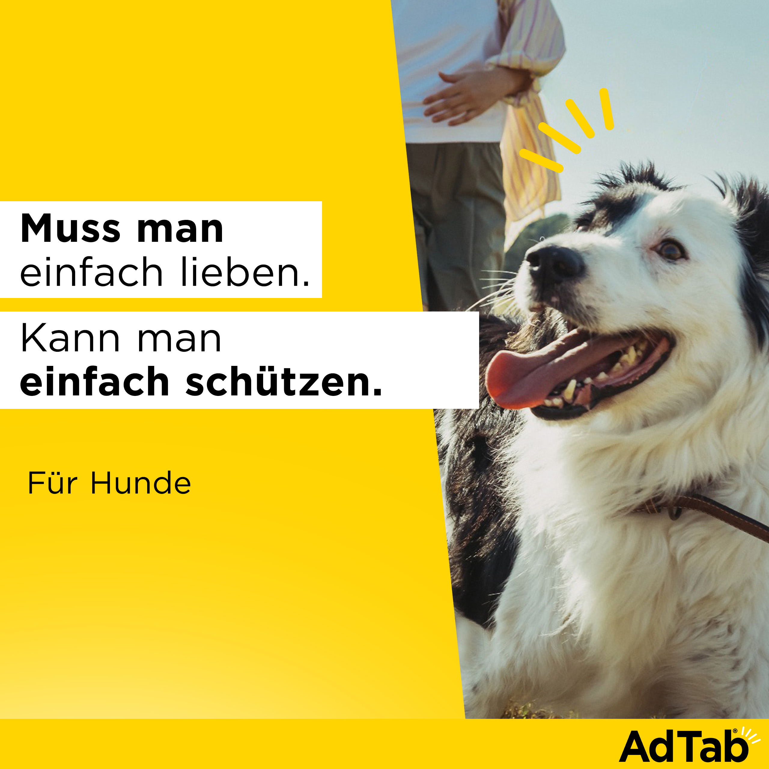 ADTAB 900 mg Kautabletten für Hunde >22-45 kg ADTAB 900 mg Kautabletten für Hunde >22-45 kg