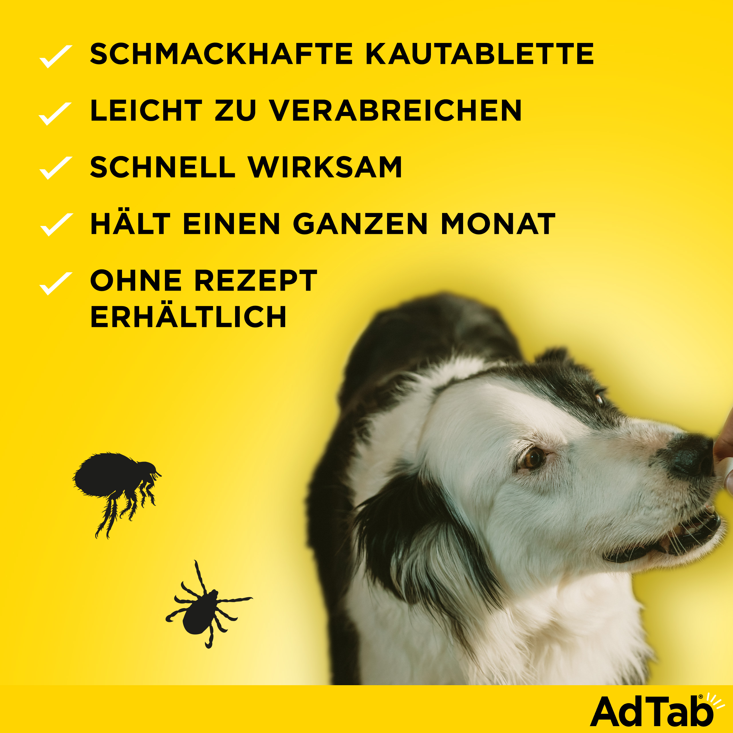 ADTAB 900 mg Kautabletten für Hunde >22-45 kg ADTAB 900 mg Kautabletten für Hunde >22-45 kg