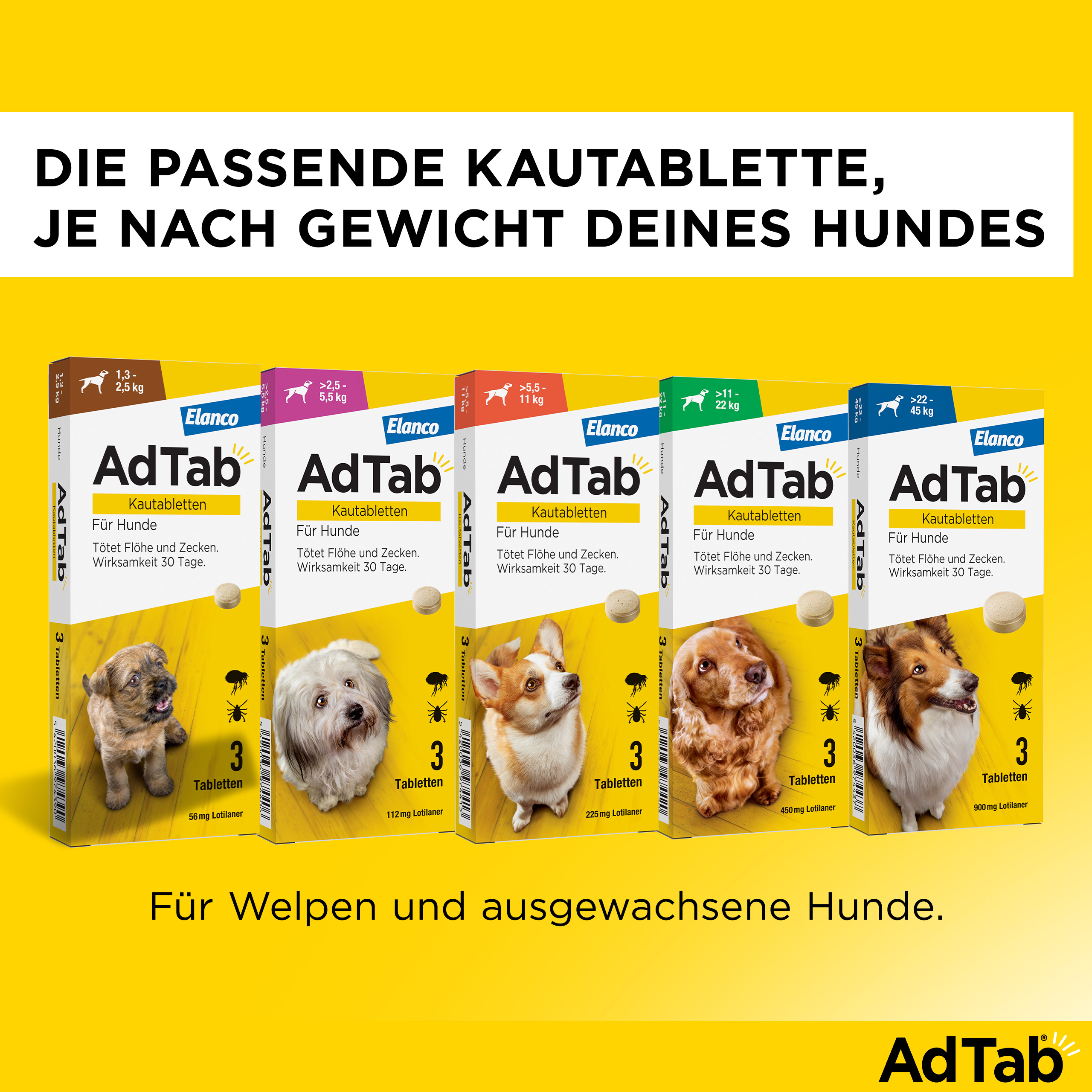 ADTAB 900 mg Kautabletten für Hunde >22-45 kg ADTAB 900 mg Kautabletten für Hunde >22-45 kg