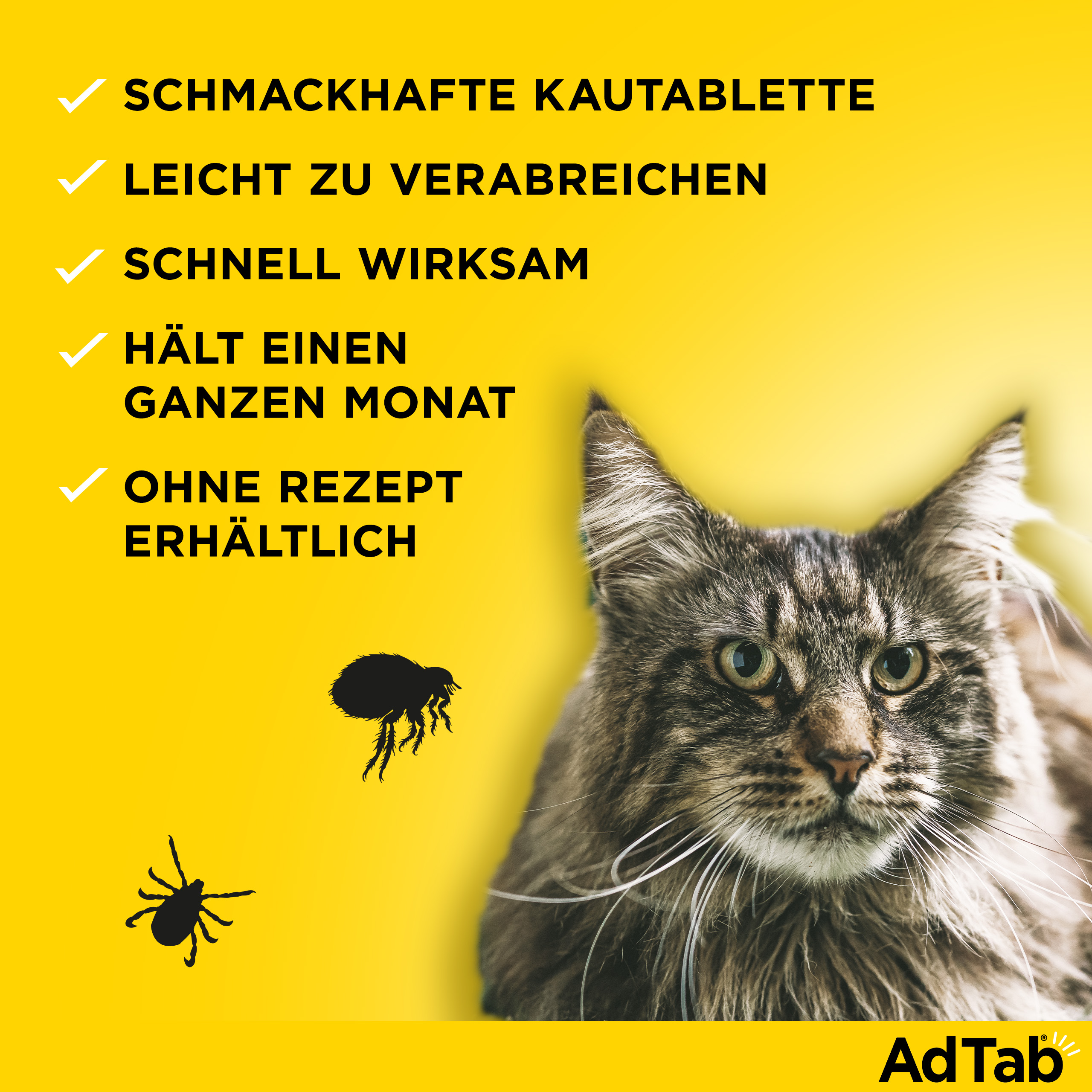 ADTAB 48 mg Kautabletten für Katzen >2-8 kg ADTAB 48 mg Kautabletten für Katzen >2-8 kg