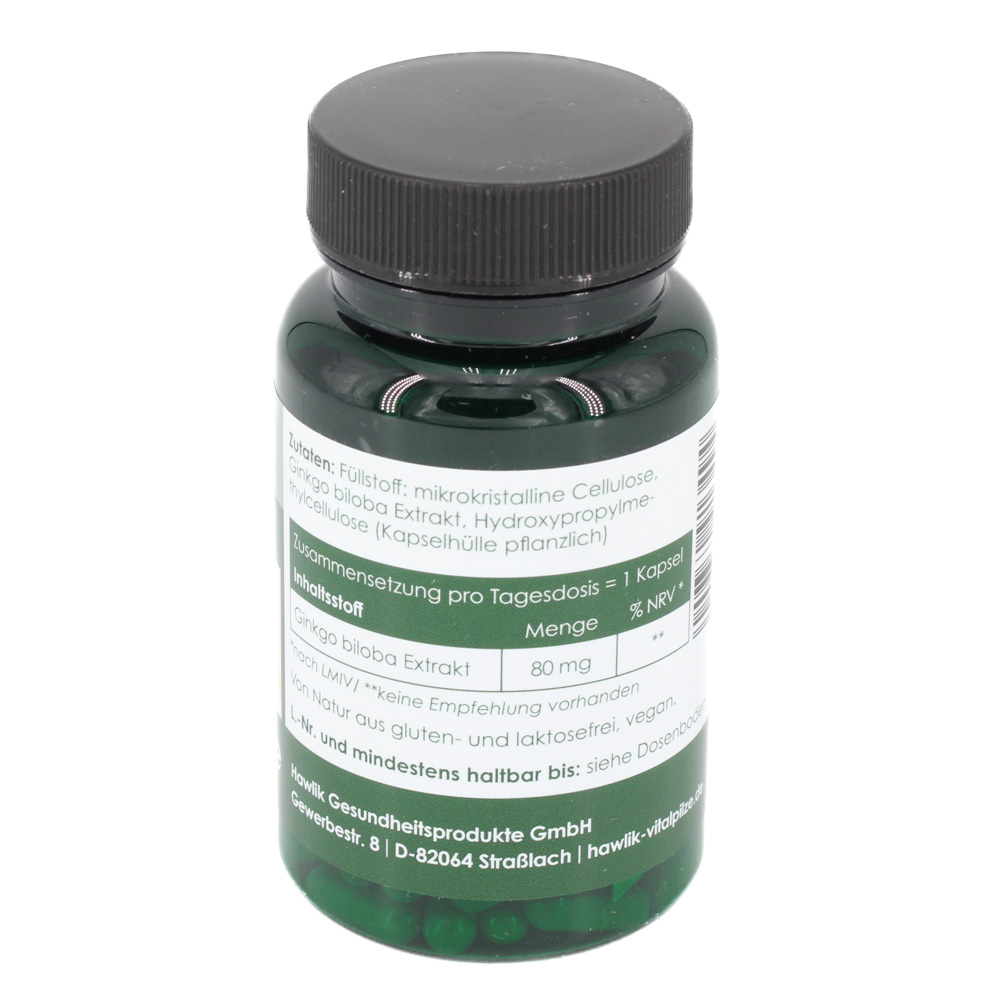 GINKGO BILOBA EXTRAKT Kapseln GINKGO BILOBA EXTRAKT Kapseln