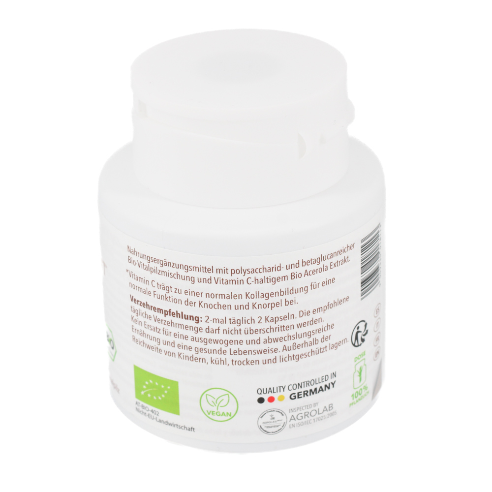 BIO VITALPILZMISCHUNG Beweglichkeit Kapseln BIO VITALPILZMISCHUNG Beweglichkeit Kapseln
