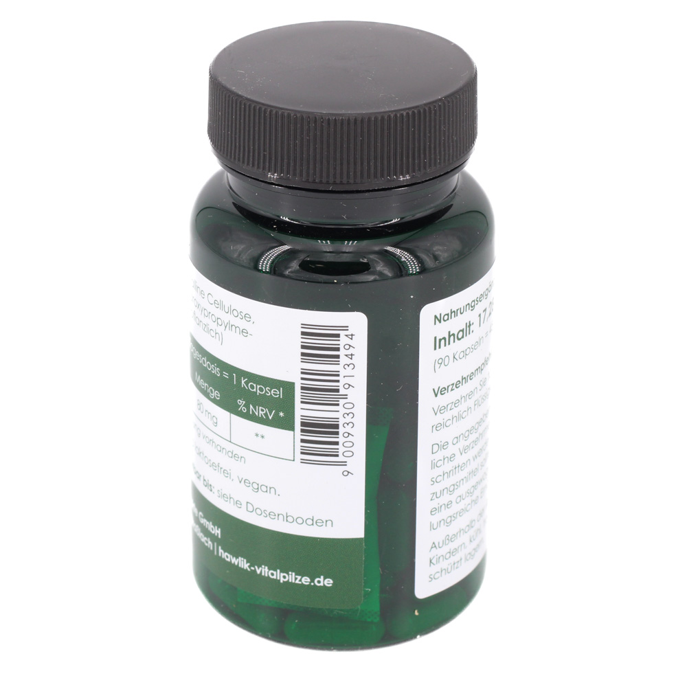 GINKGO BILOBA EXTRAKT Kapseln GINKGO BILOBA EXTRAKT Kapseln