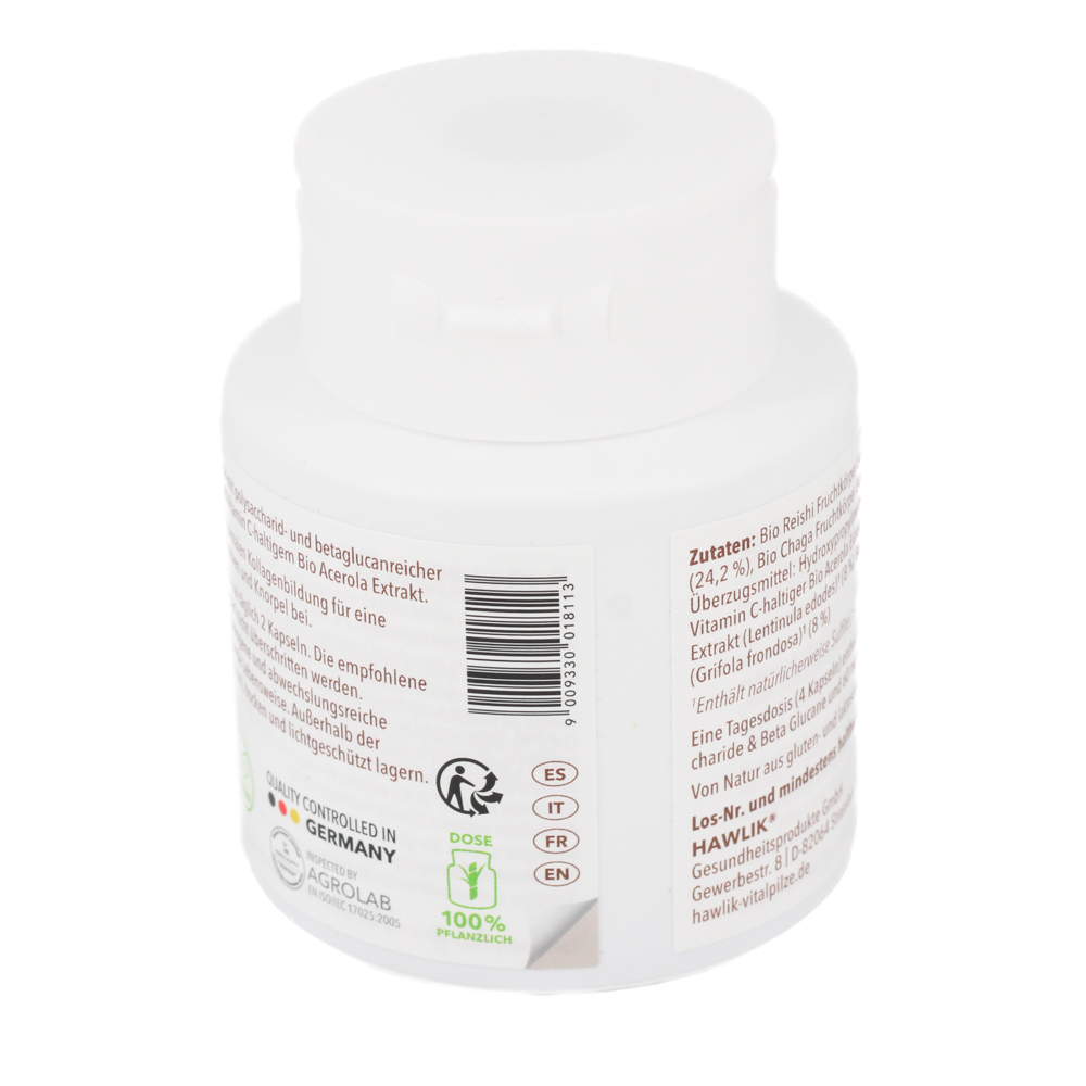 BIO VITALPILZMISCHUNG Beweglichkeit Kapseln BIO VITALPILZMISCHUNG Beweglichkeit Kapseln