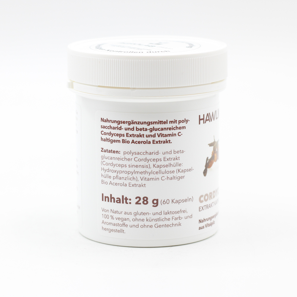 CORDYCEPS EXTRAKT Kapseln CORDYCEPS EXTRAKT Kapseln