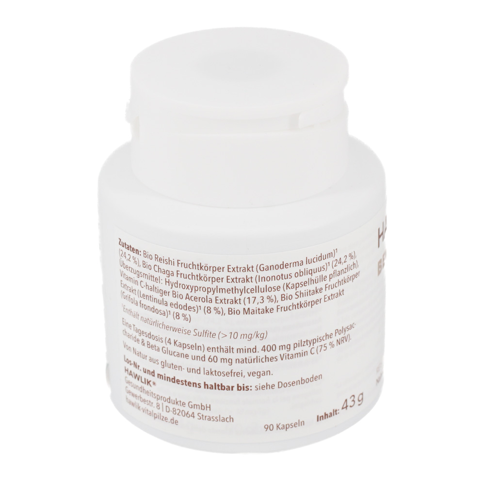 BIO VITALPILZMISCHUNG Beweglichkeit Kapseln BIO VITALPILZMISCHUNG Beweglichkeit Kapseln