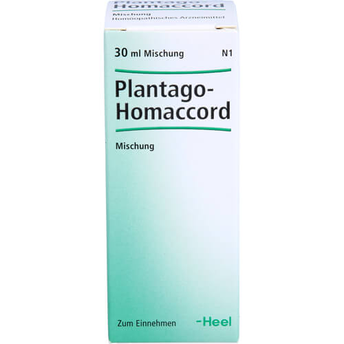 PLANTAGO HOMACCORD Tropfen PLANTAGO HOMACCORD Tropfen