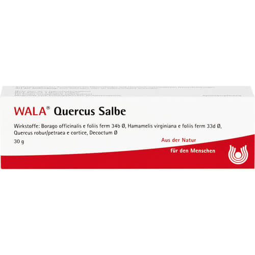 QUERCUS SALBE QUERCUS SALBE