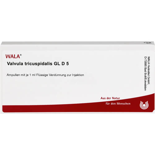 VALVULA tricuspidalis GL D 5 Ampullen VALVULA tricuspidalis GL D 5 Ampullen
