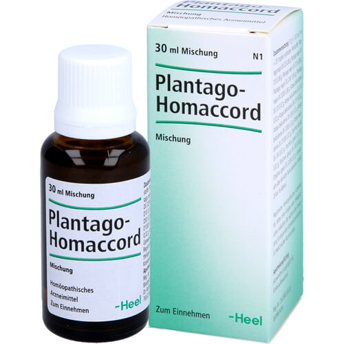 PLANTAGO HOMACCORD Tropfen PLANTAGO HOMACCORD Tropfen
