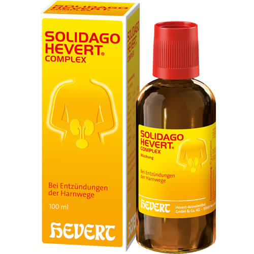SOLIDAGO HEVERT Complex Tropfen SOLIDAGO HEVERT Complex Tropfen