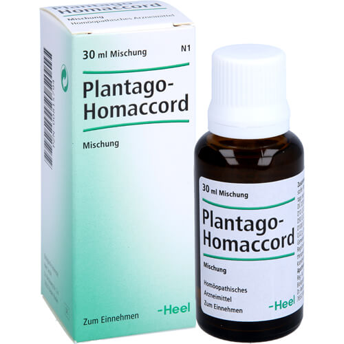 PLANTAGO HOMACCORD Tropfen PLANTAGO HOMACCORD Tropfen