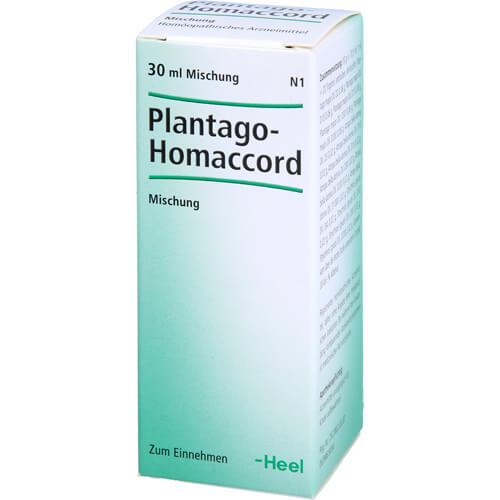 PLANTAGO HOMACCORD Tropfen PLANTAGO HOMACCORD Tropfen