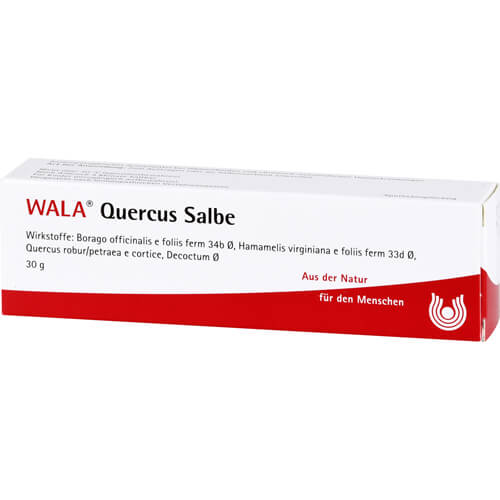 QUERCUS SALBE QUERCUS SALBE