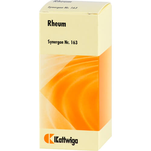 SYNERGON KOMPLEX 163 Rheum Tropfen SYNERGON KOMPLEX 163 Rheum Tropfen
