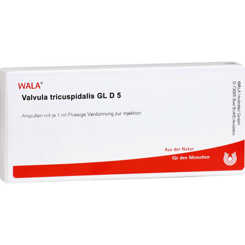 VALVULA tricuspidalis GL D 5 Ampullen VALVULA tricuspidalis GL D 5 Ampullen