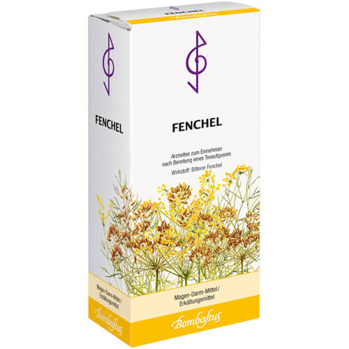FENCHEL TEE FENCHEL TEE