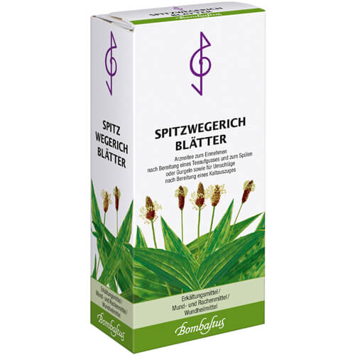 SPITZWEGERICHBLÄTTER Tee SPITZWEGERICHBLÄTTER Tee