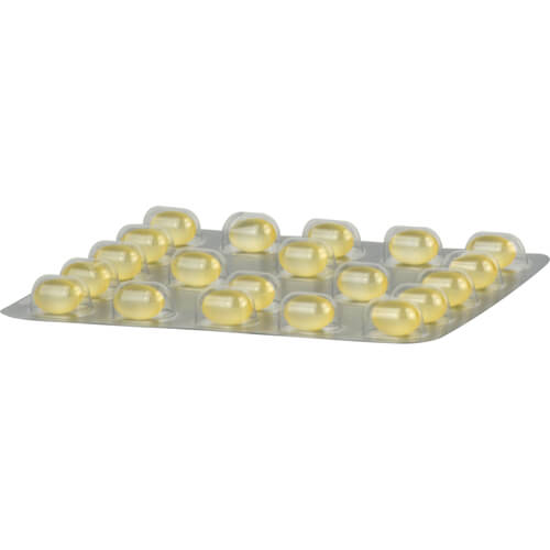 SOLEDUM Kapseln forte 200 mg SOLEDUM Kapseln forte 200 mg