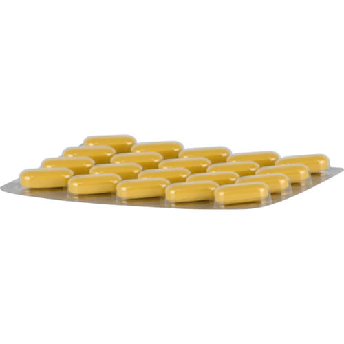 NEUROPLANT aktiv Filmtabletten NEUROPLANT aktiv Filmtabletten