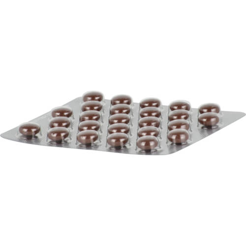 MYRRHINIL INTEST überzogene Tabletten MYRRHINIL INTEST überzogene Tabletten