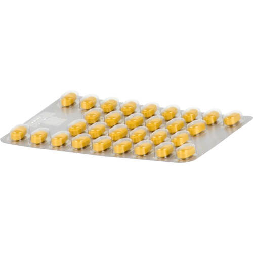 TEBONIN spezial 80 mg Filmtabletten TEBONIN spezial 80 mg Filmtabletten