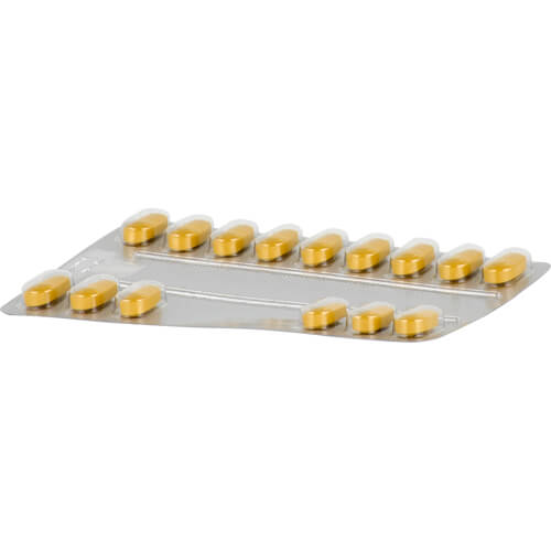 TEBONIN intens 120 mg Filmtabletten TEBONIN intens 120 mg Filmtabletten