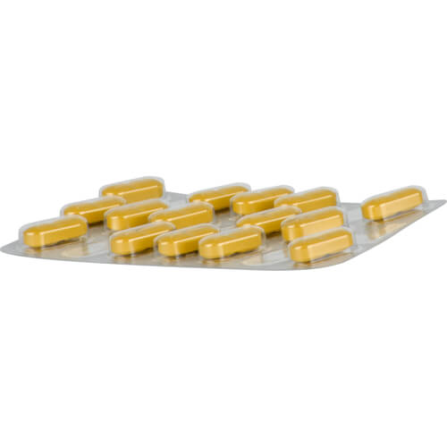 TEBONIN konzent 240 mg Filmtabletten TEBONIN konzent 240 mg Filmtabletten