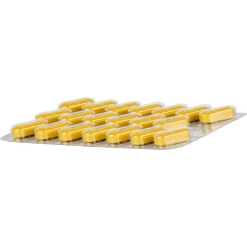 TEBONIN konzent 240 mg Filmtabletten TEBONIN konzent 240 mg Filmtabletten