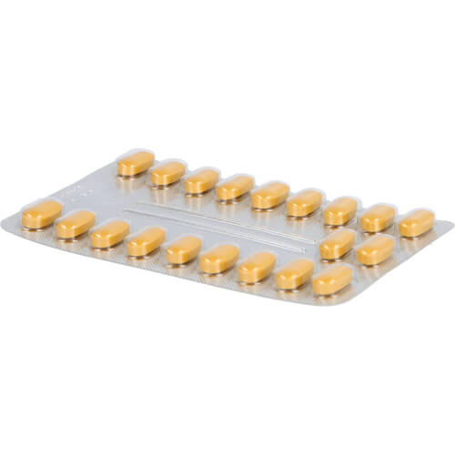TEBONIN intens 120 mg Filmtabletten TEBONIN intens 120 mg Filmtabletten