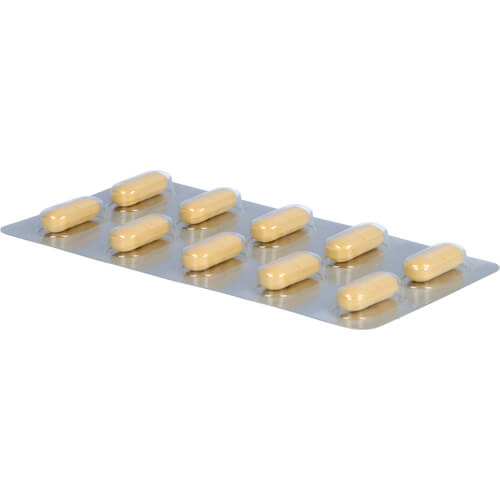 GINGOBETA 240 mg Filmtabletten GINGOBETA 240 mg Filmtabletten