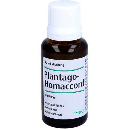 PLANTAGO HOMACCORD Tropfen PLANTAGO HOMACCORD Tropfen